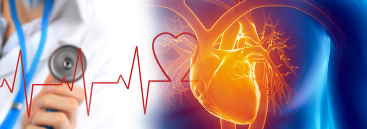 CURSO DE AUXILIAR EN CARDIOLOGÍA
